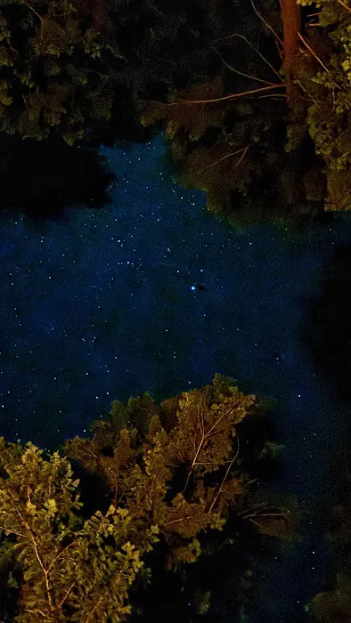 Monture Creek Campground 3