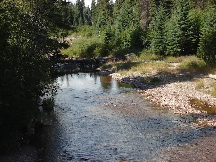 Monture Creek Campground 6