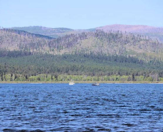 Big Larch Campground