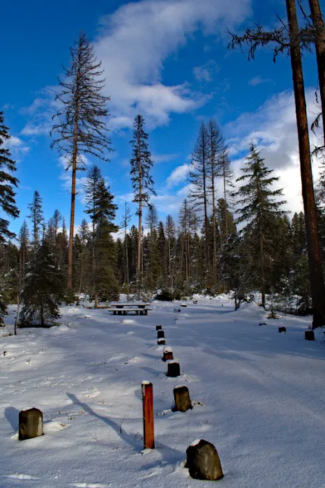 Big Larch Campground 9