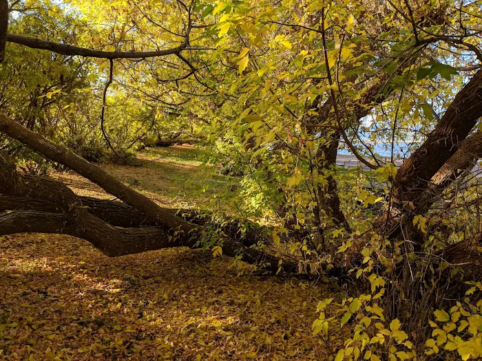 Browns Lake Campground 8