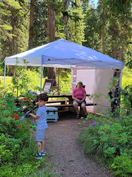 Lake Alva Campground 8