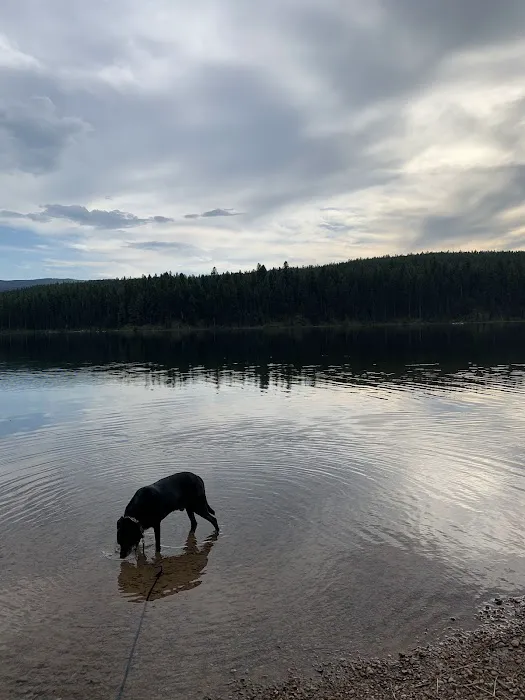 Lake Alva Campground 6