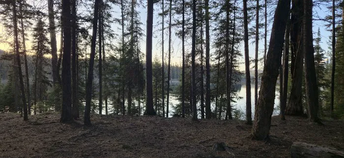 Rainy Lake Campground 5