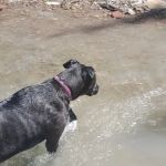 Rainy Lake Campground