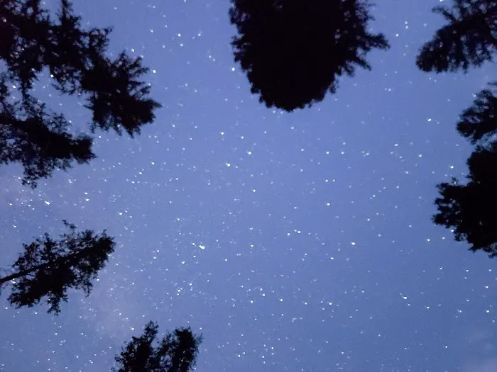 Rainy Lake Campground 2