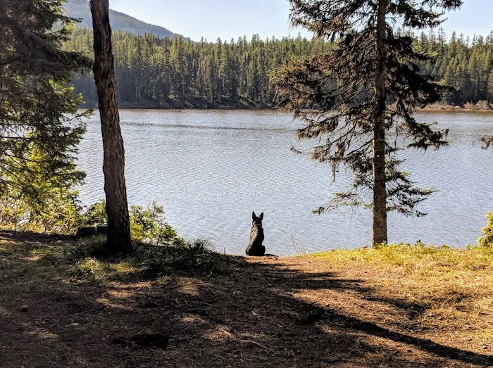 Rainy Lake Campground 9