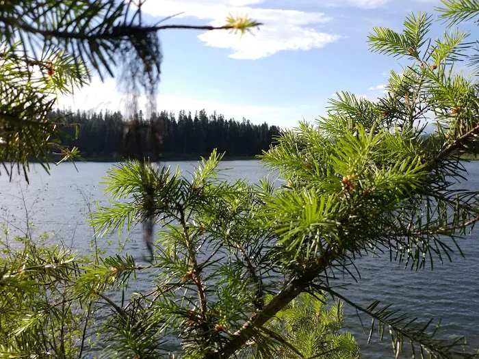 Rainy Lake Campground 6