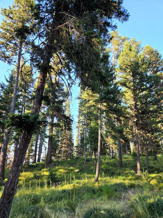 Rainy Lake Campground 1
