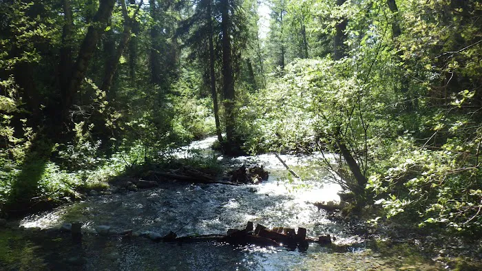 Soup Creek Campground 1