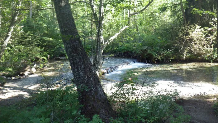 Soup Creek Campground 2