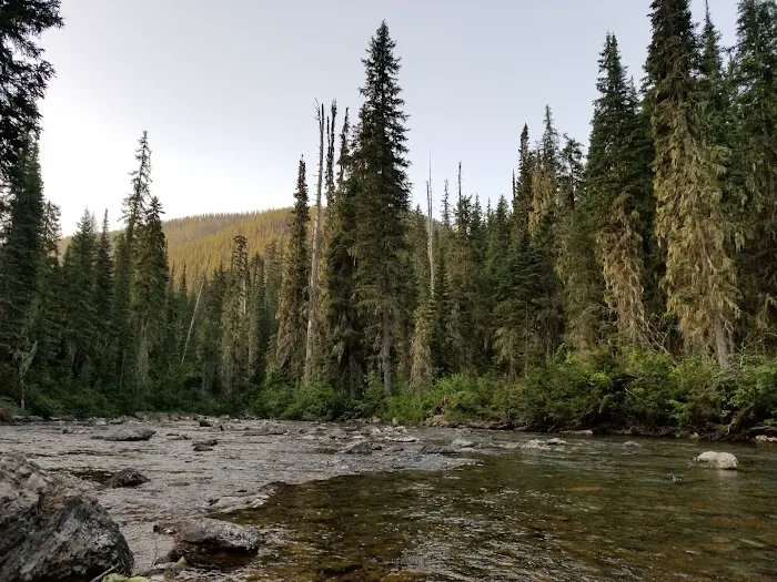 Peters Creek Campground 1