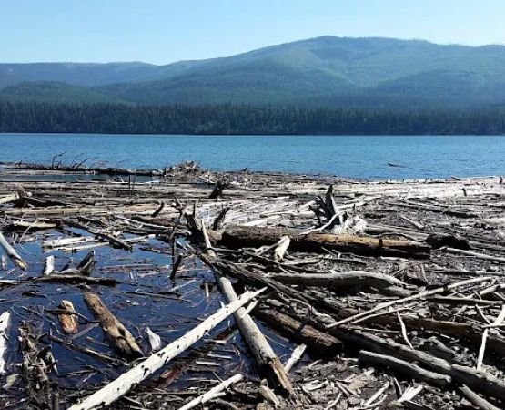 Peters Creek Campground