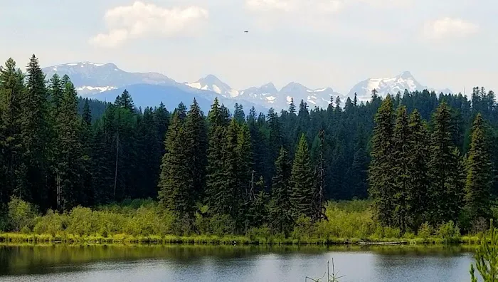 Peters Creek Campground 5