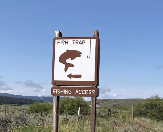 Fishtrap Campground