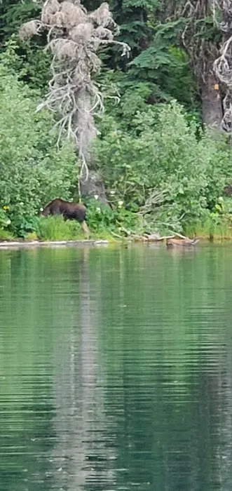 Rocky Ridge Lake Campground 1