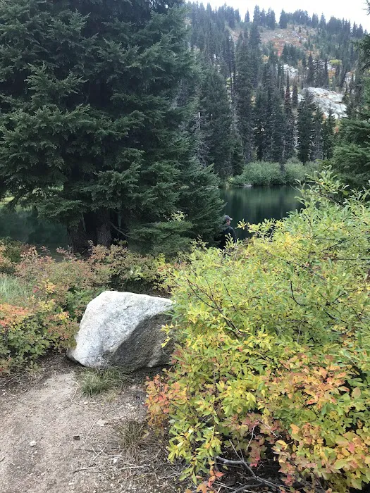 Rocky Ridge Lake Campground 6