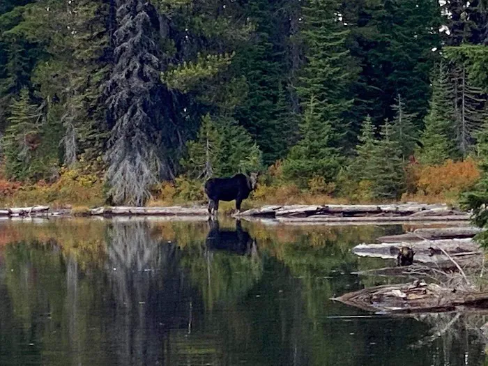 Rocky Ridge Lake Campground 2