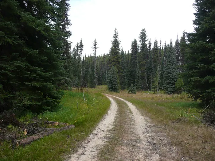 Table Meadows Campground 0