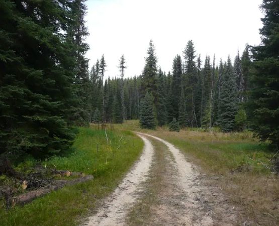 Table Meadows Campground