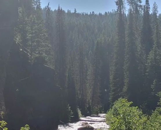 Elk City Ranger District