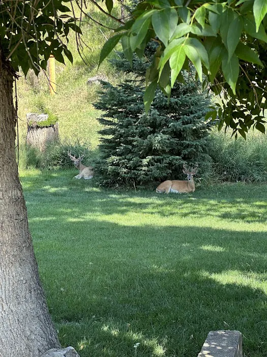 Lake Park Campground & Cottages 4