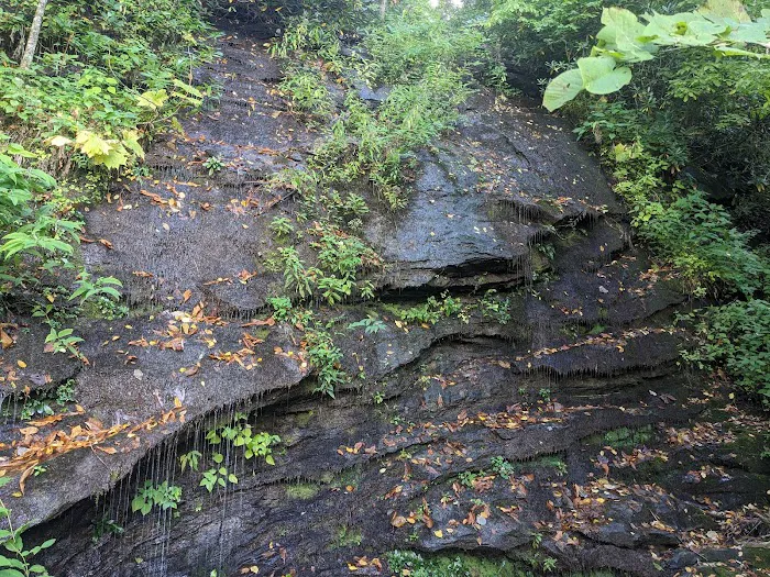 Black Rock Mountain State Park Campground 7