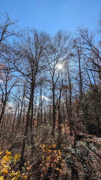 Black Rock Mountain State Park Campground 9