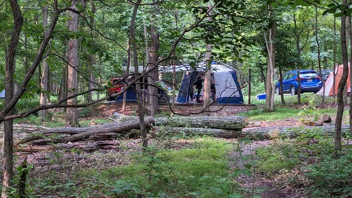 Dogwood Campground 8