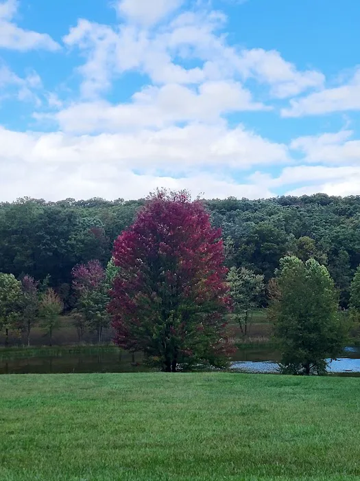 Cedar Campground 4