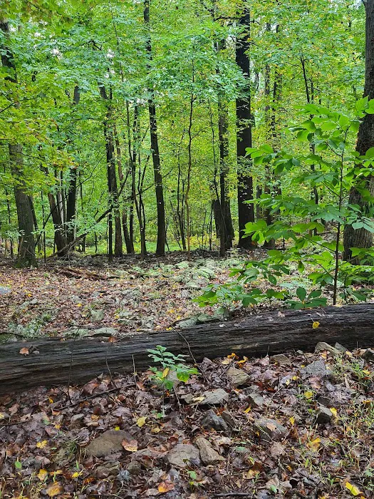 Cedar Campground 8