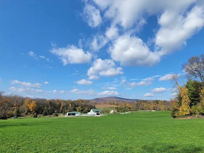 Glamping Clear Spring Maryland 3-Cabin Campground 6