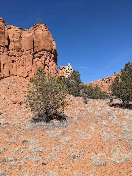 Basin Campground 2