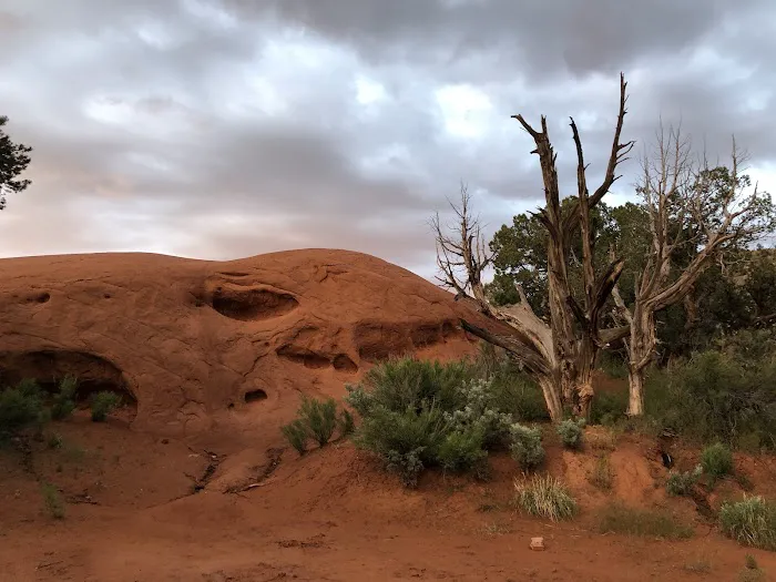 Oasis Group Campground 1