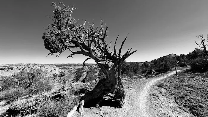 Arch Campground 2