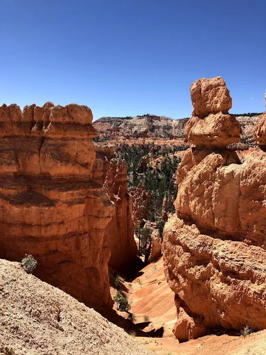 Bryce View Campground 4