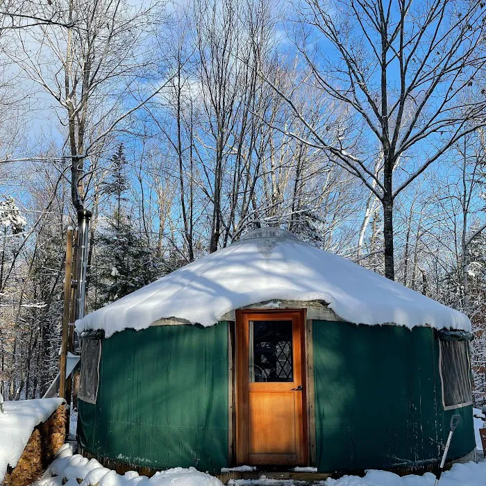 Maine Forest Yurts 4