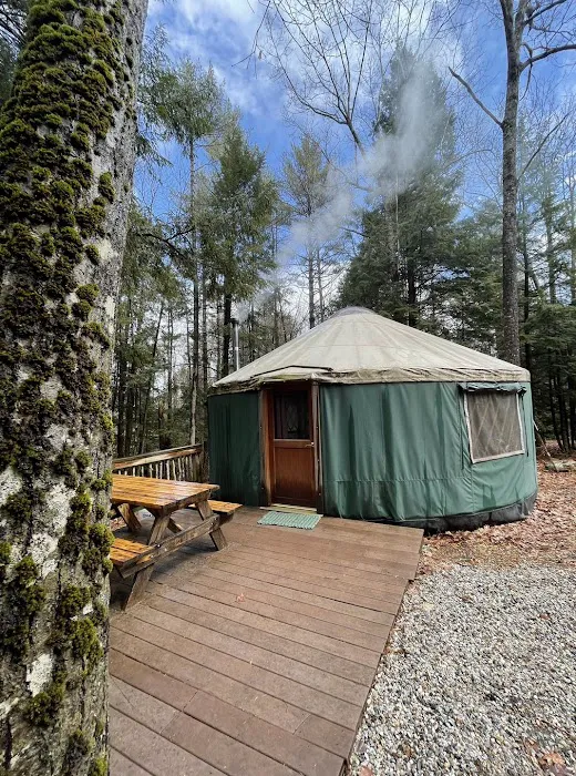 Maine Forest Yurts 5