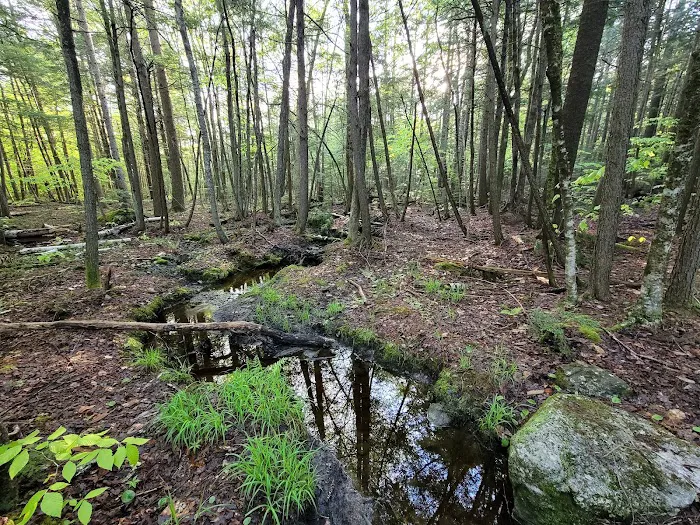 Bradbury Mountain State Park Campground 2