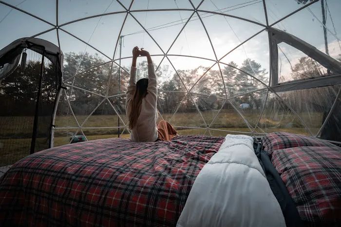 ComfyDome 3