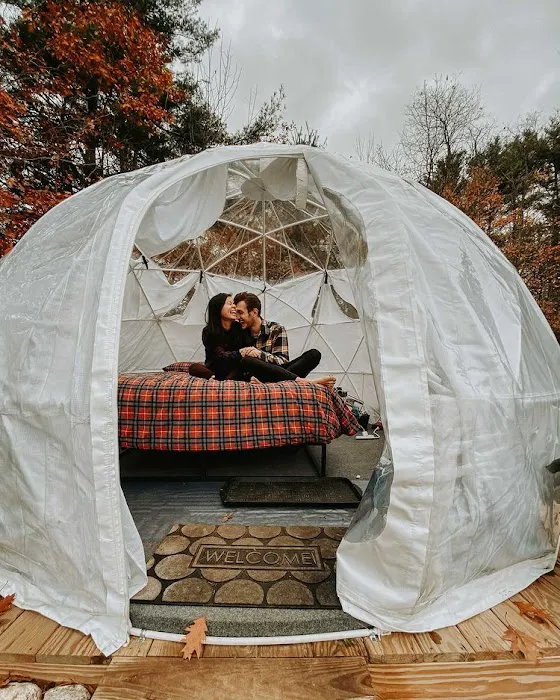 ComfyDome 4