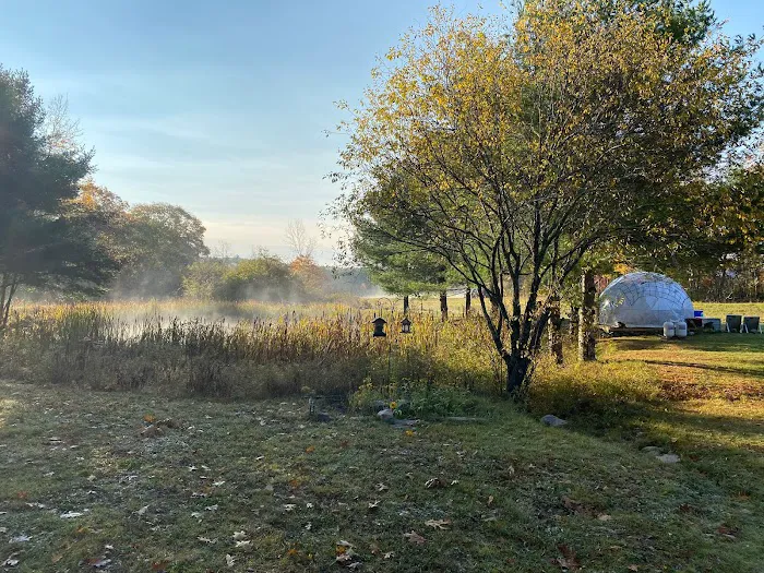 ComfyDome 1