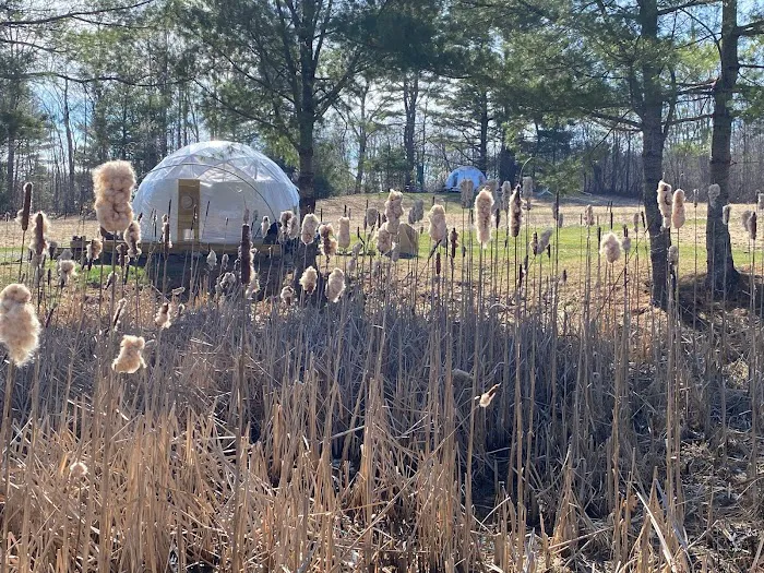 ComfyDome 9
