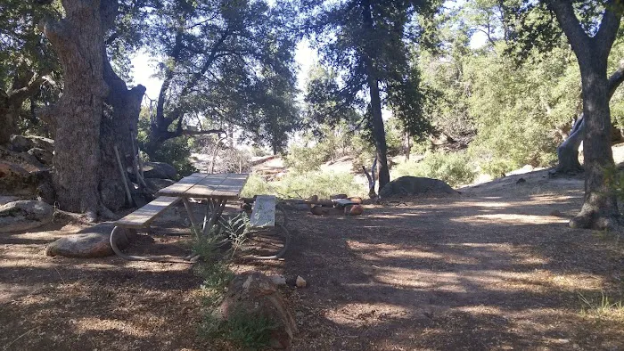 Mission Pine Spring Camp 5