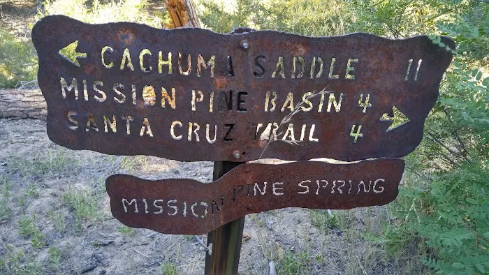 Mission Pine Spring Camp 6