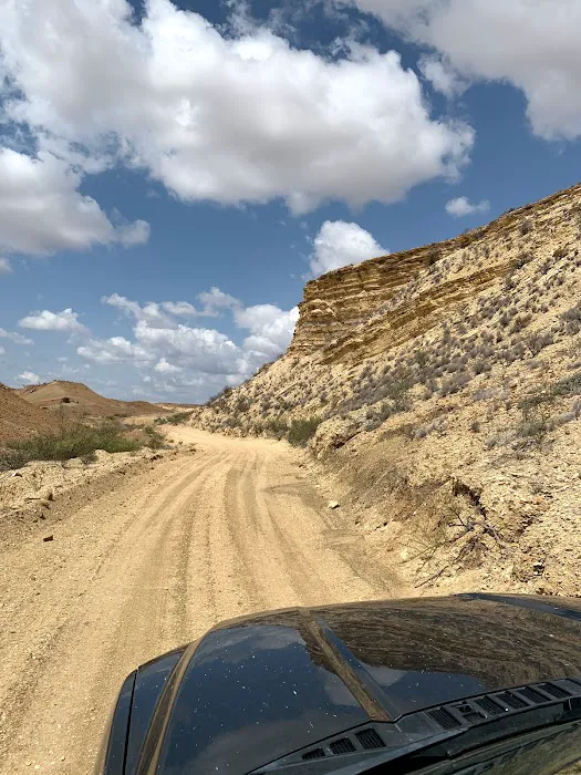 Savvy Retreats | Big Bend | Texas 1