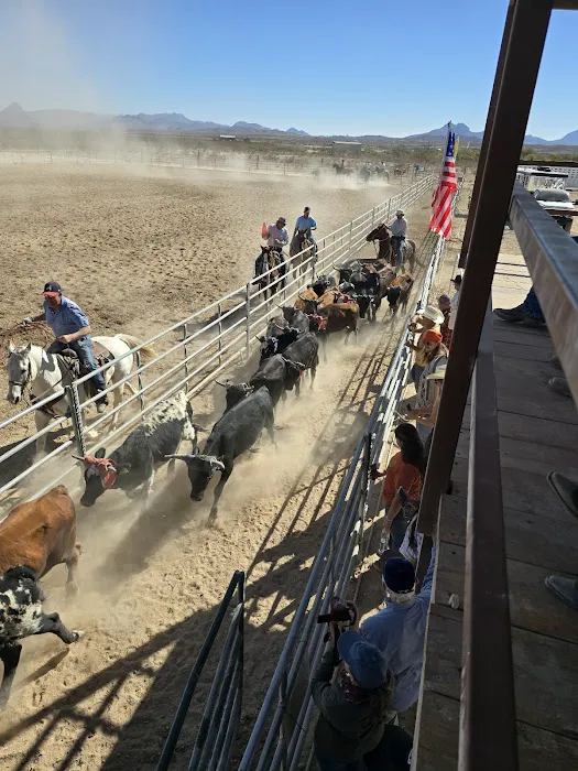 Jackass Flats Arena and Camping 7