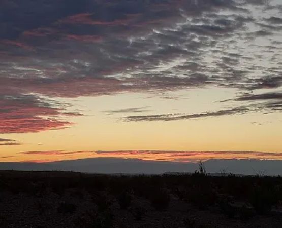 Big Bend National Park - Loop Camp