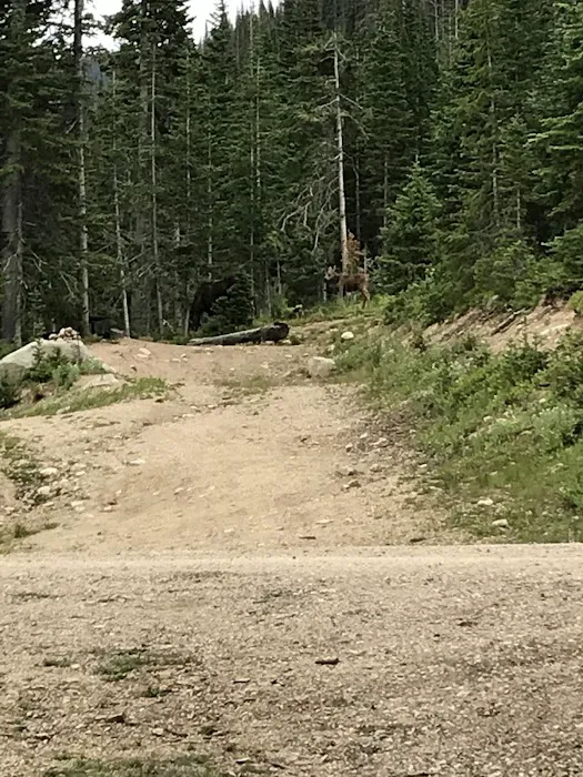 Crags Campground Complex 1