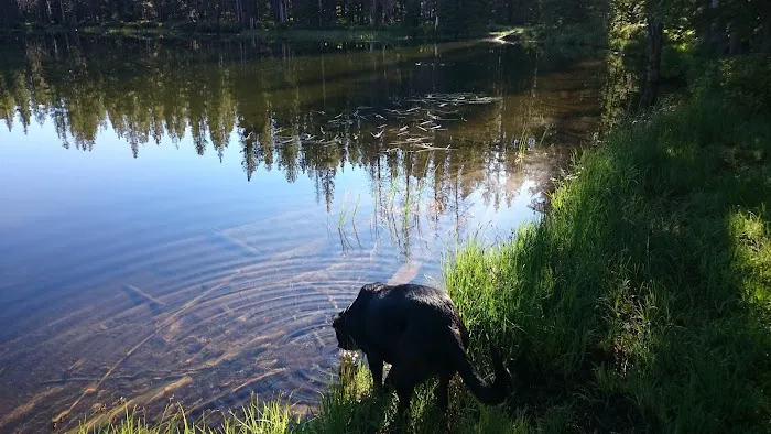 Yellowjacket Lake Campground 3
